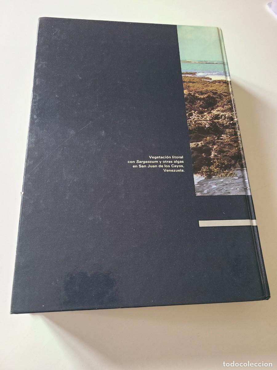 Libros de segunda mano: Ecolog&iacute;a. Ram&oacute;n Margalef - Foto 2