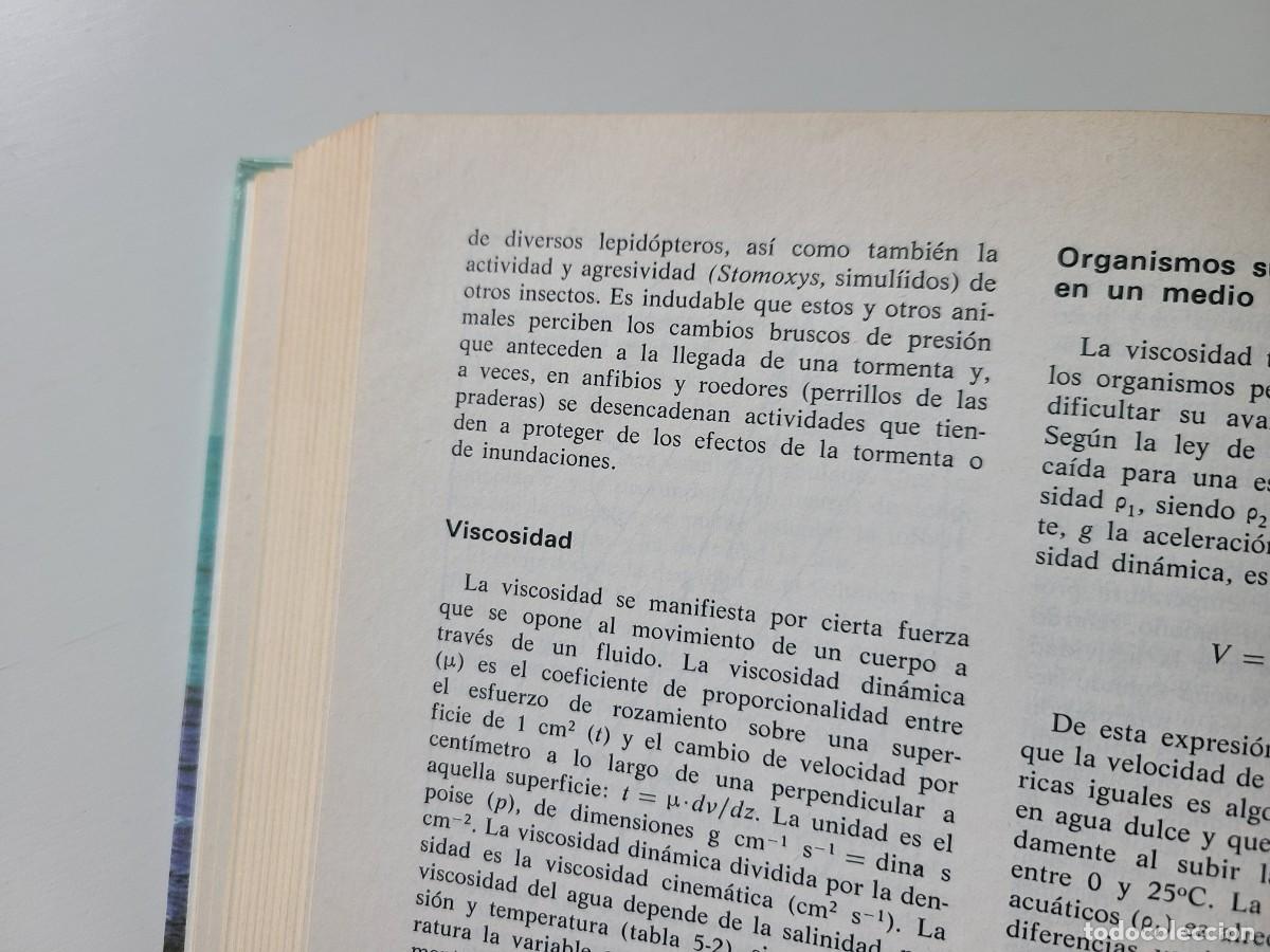 Libros de segunda mano: Ecolog&iacute;a. Ram&oacute;n Margalef - Foto 3