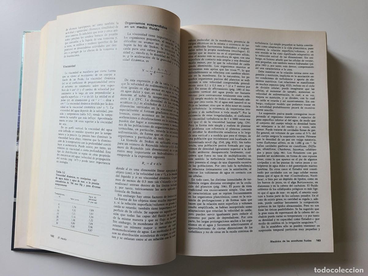 Libros de segunda mano: Ecolog&iacute;a. Ram&oacute;n Margalef - Foto 10