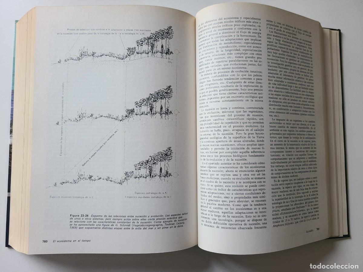Libros de segunda mano: Ecolog&iacute;a. Ram&oacute;n Margalef - Foto 12