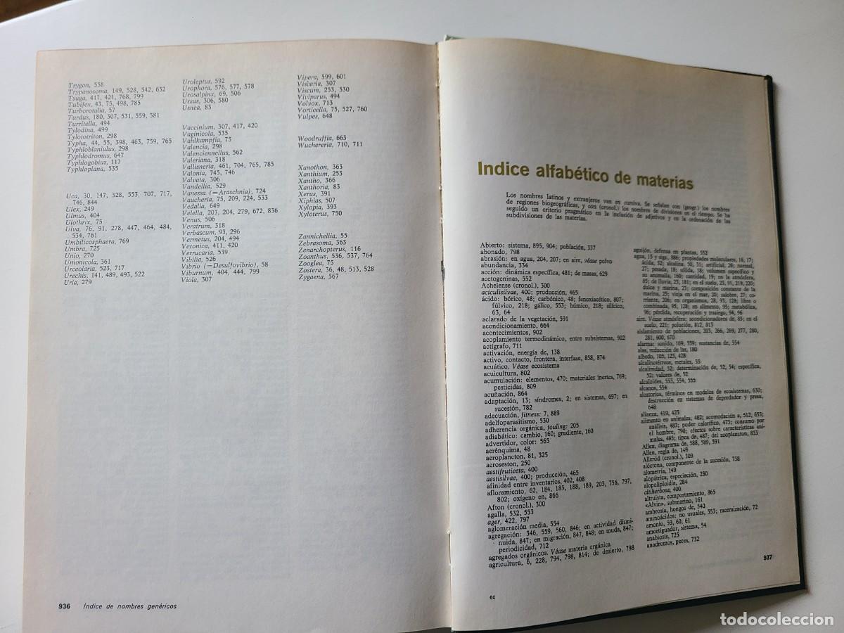 Libros de segunda mano: Ecolog&iacute;a. Ram&oacute;n Margalef - Foto 13