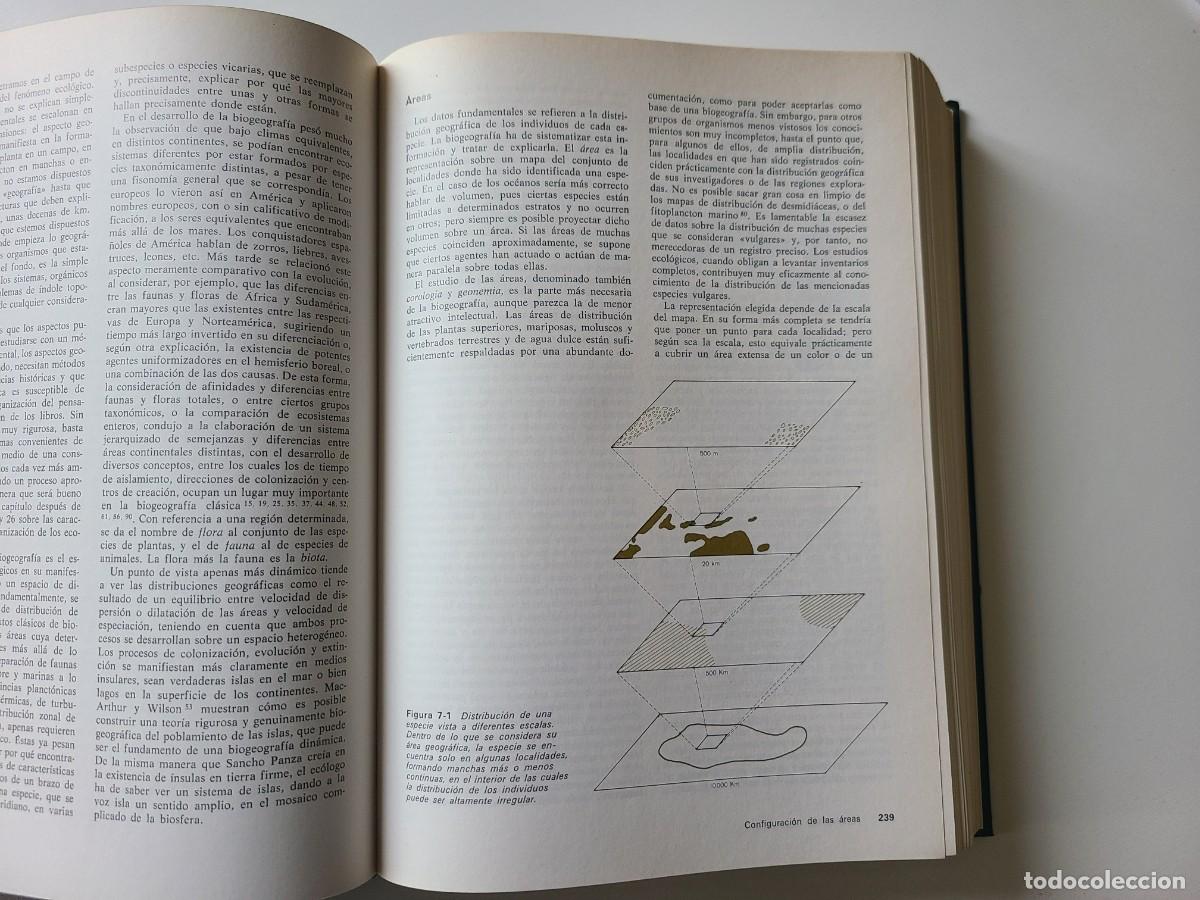 Libros de segunda mano: Ecolog&iacute;a. Ram&oacute;n Margalef - Foto 14