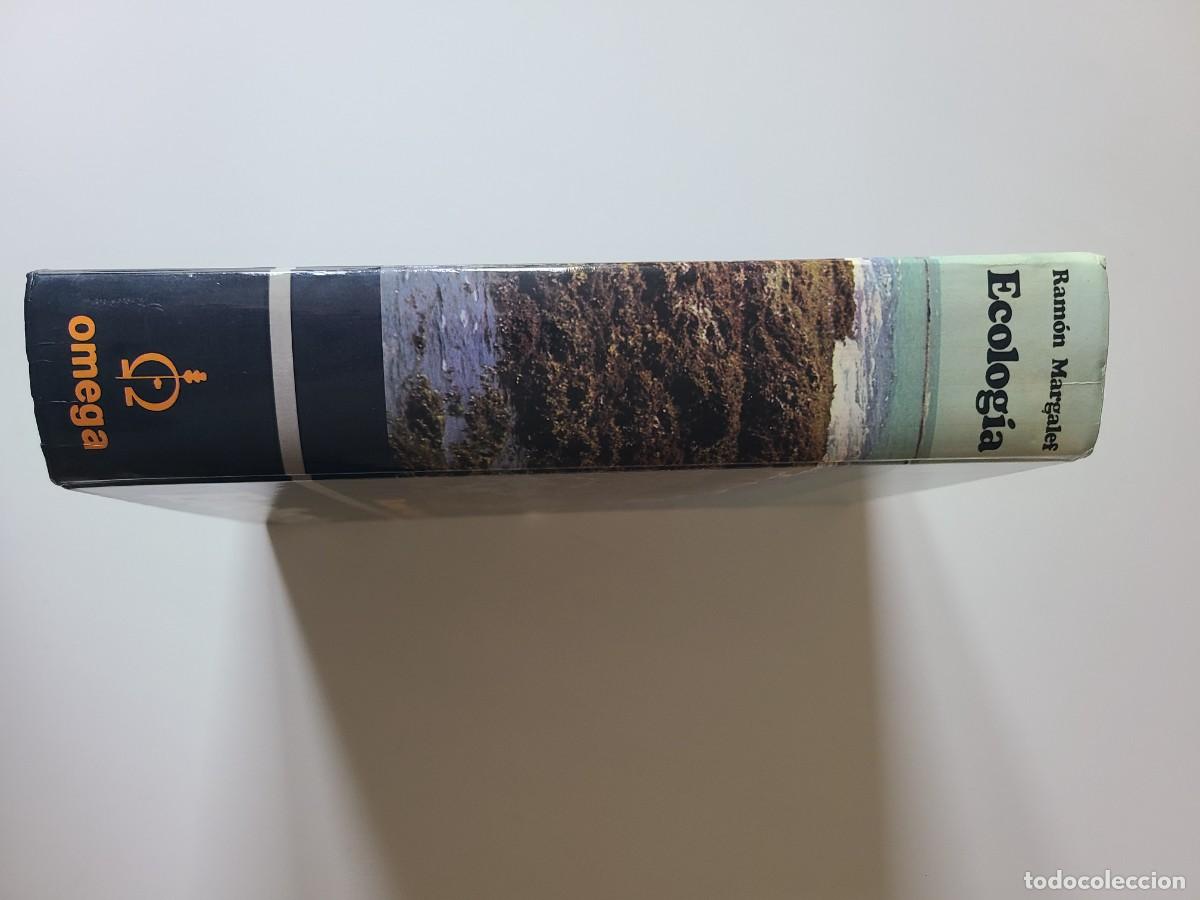 Libros de segunda mano: Ecolog&iacute;a. Ram&oacute;n Margalef - Foto 19
