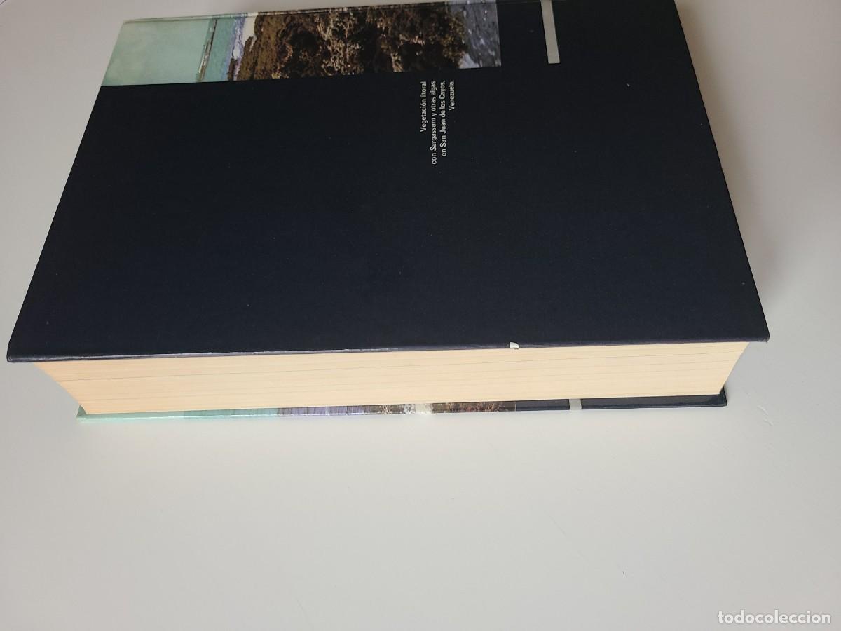 Libros de segunda mano: Ecolog&iacute;a. Ram&oacute;n Margalef - Foto 20