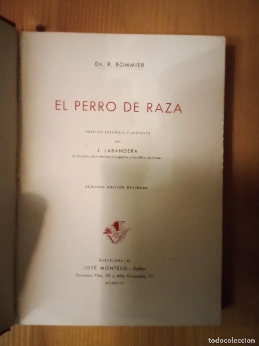 Libros de segunda mano: EL PERRO DE RAZA, J LABANDERA, R BOMMIER, JOSE MONTESO EDITOR, 1944 - Foto 2