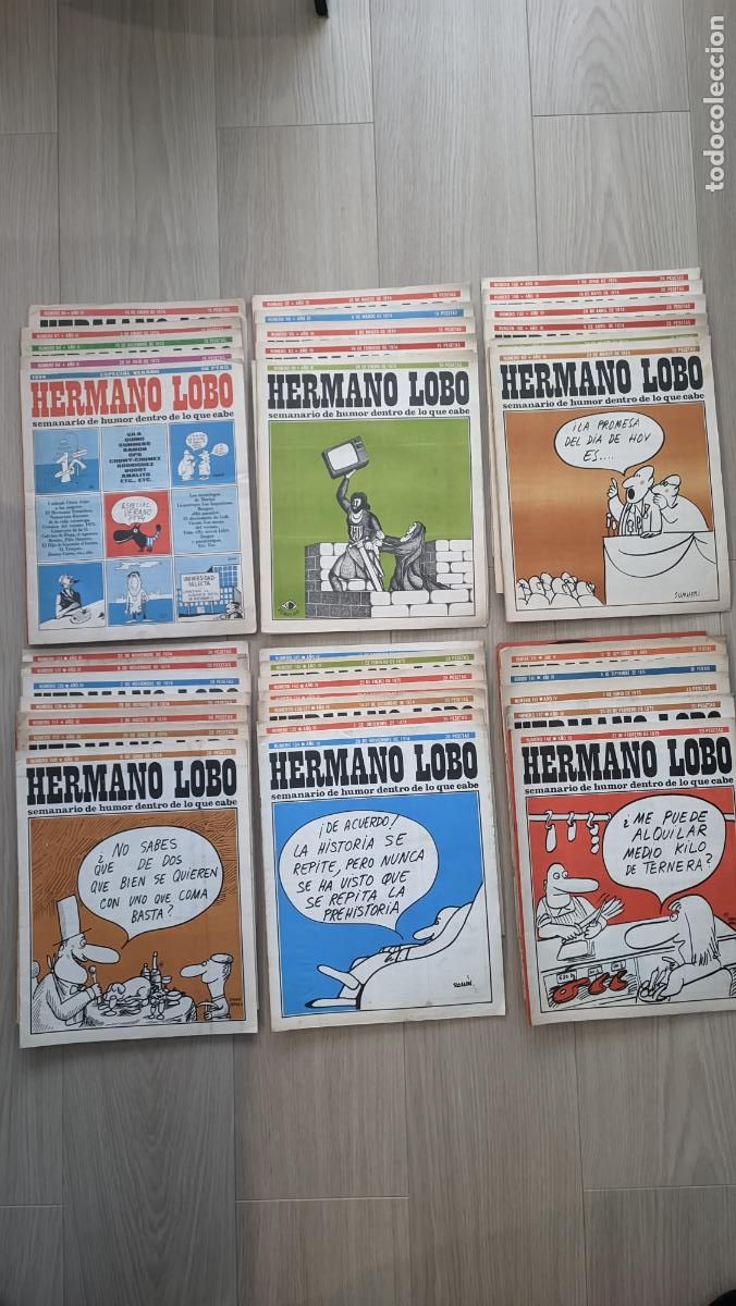 Libros de segunda mano: REVISTAS ANTIGUAS HERMANO LOBO - Foto 1
