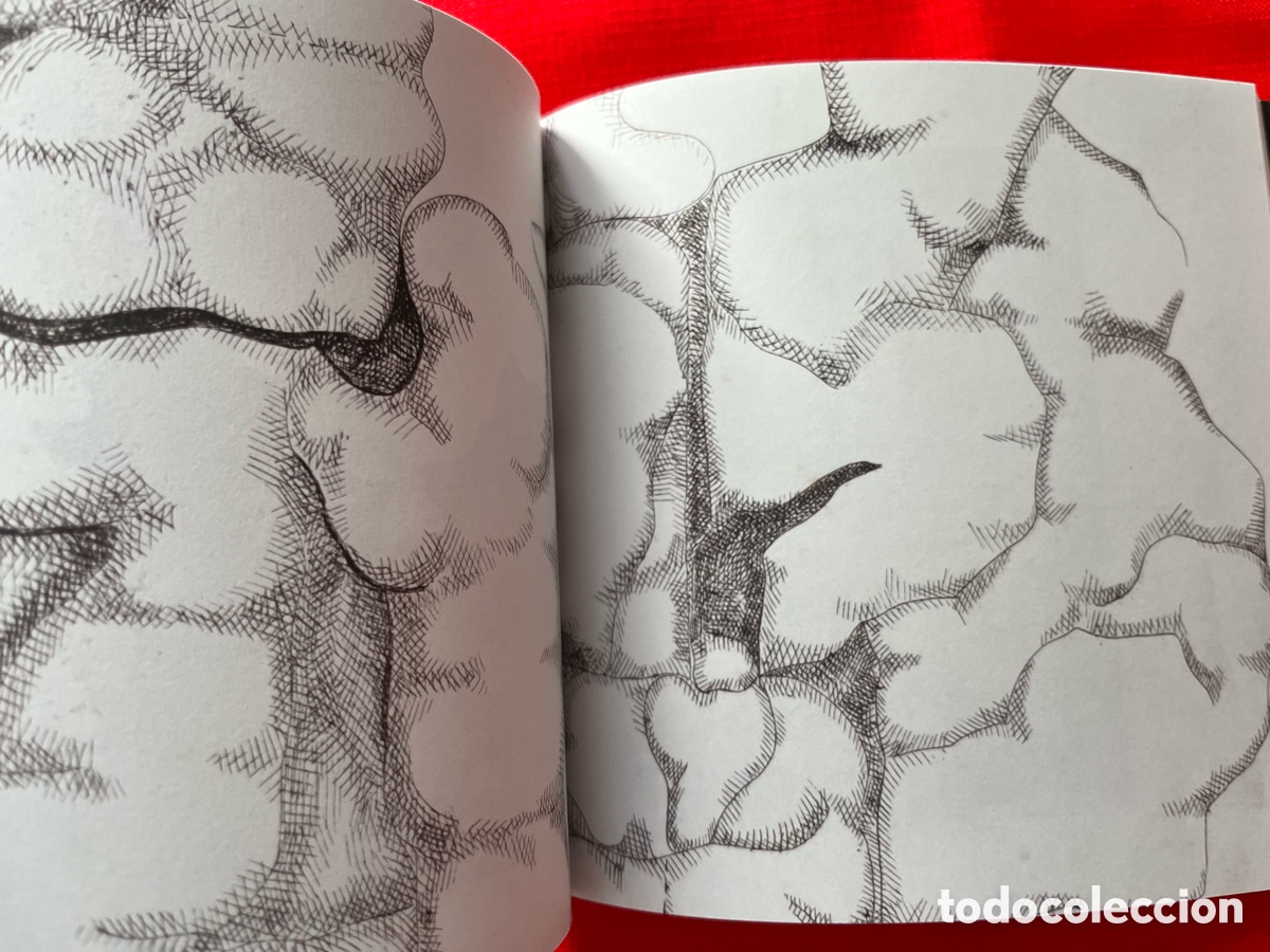 Libros de segunda mano: Libro Marcel Mart&iacute; - Ritme i mat&egrave;ria - Foto 9