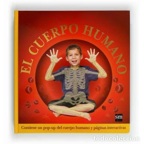 Libri di seconda mano: EL CUERPO HUMANO - FERGUSON, RICHARD - Sin Especificar
