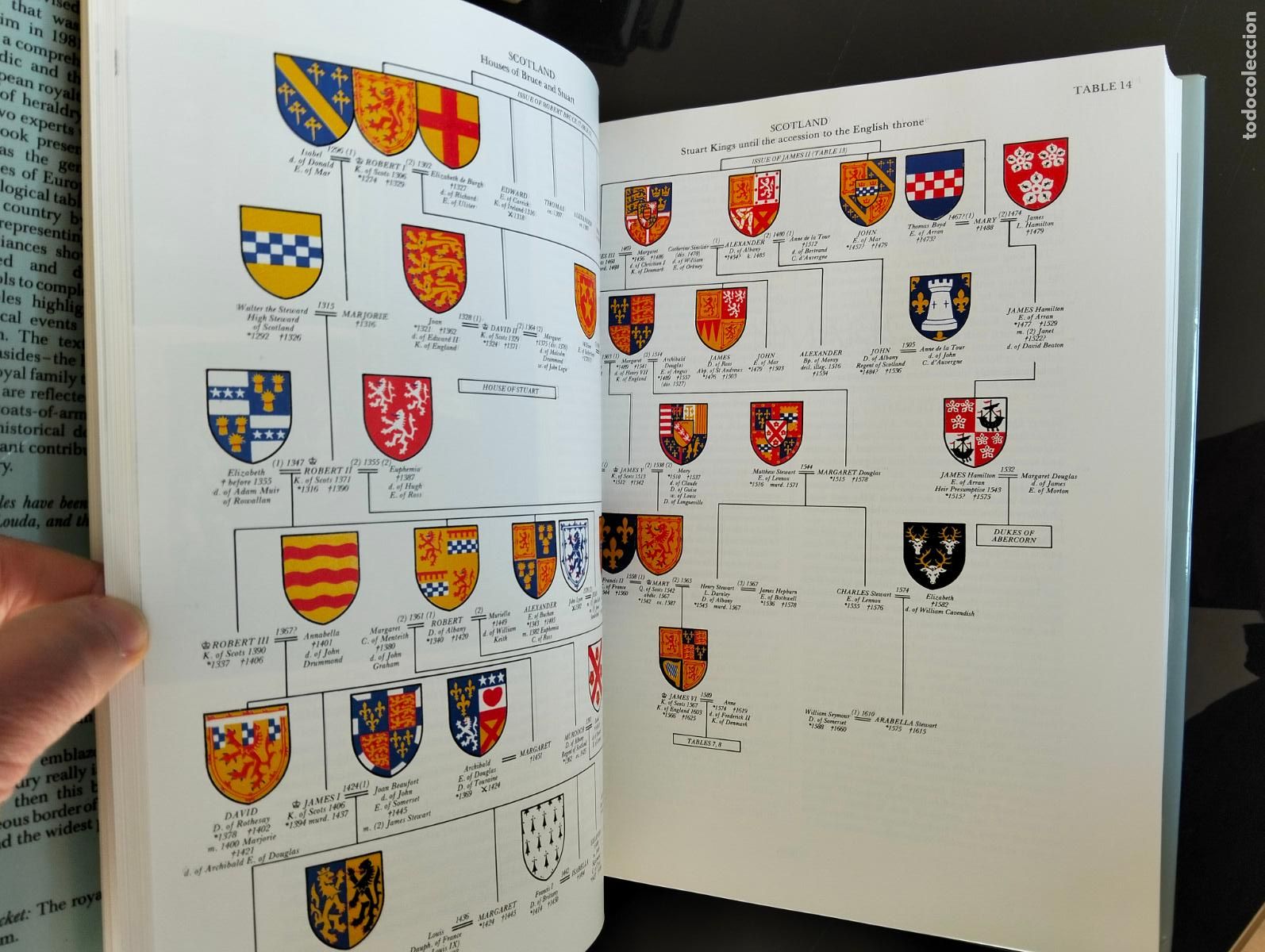 Libros de segunda mano: Raro. Lines of Succession, Heraldry of the Royal Families, Jiri Loudas, Orbis, 1984 VISITA CATALOGO