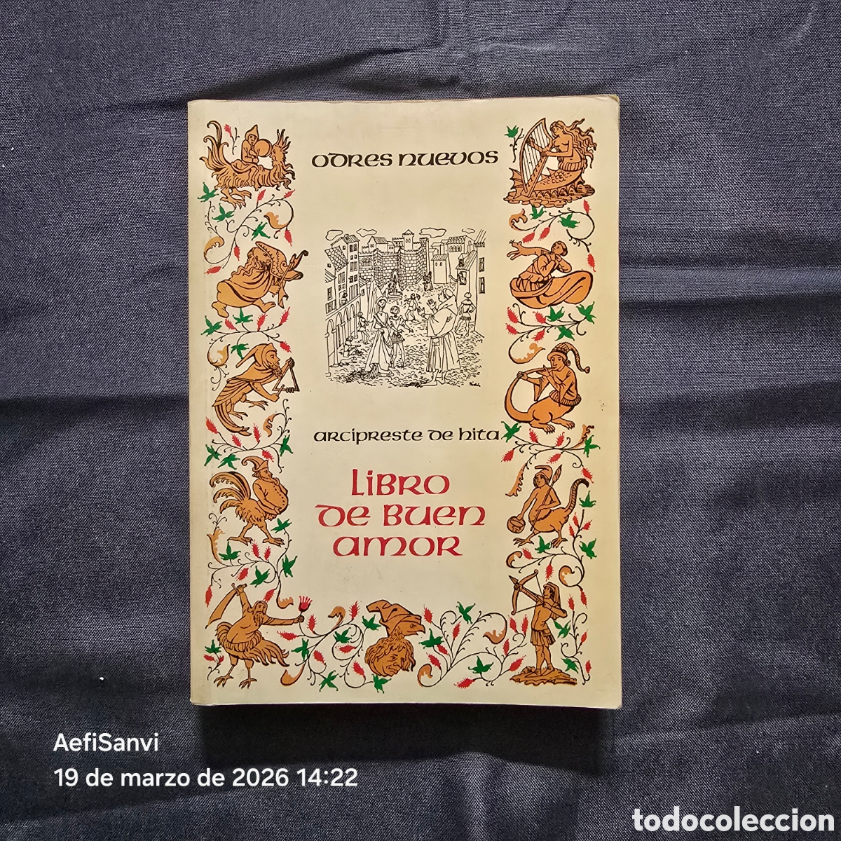 Libros de segunda mano: LIBRO DE BUEN AMOR (ARCIPRESTE DE HITA) (ODRES NUEVOS, CASTALIA)