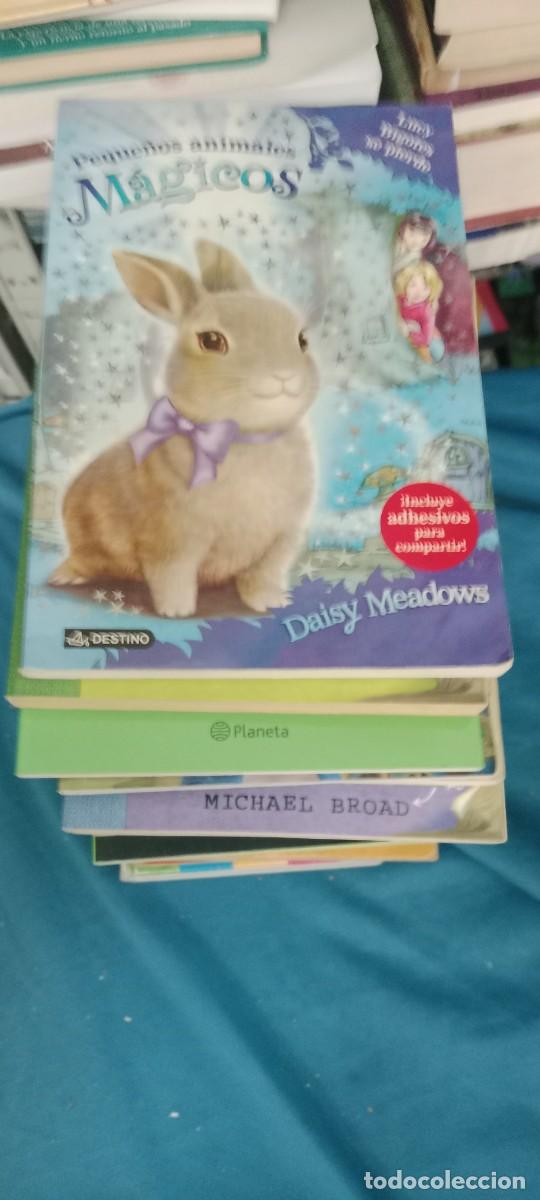 Libros de segunda mano: PEQUE&Ntilde;OS ANIMALES MAGICOS LIBRO GG-CD - Foto 1