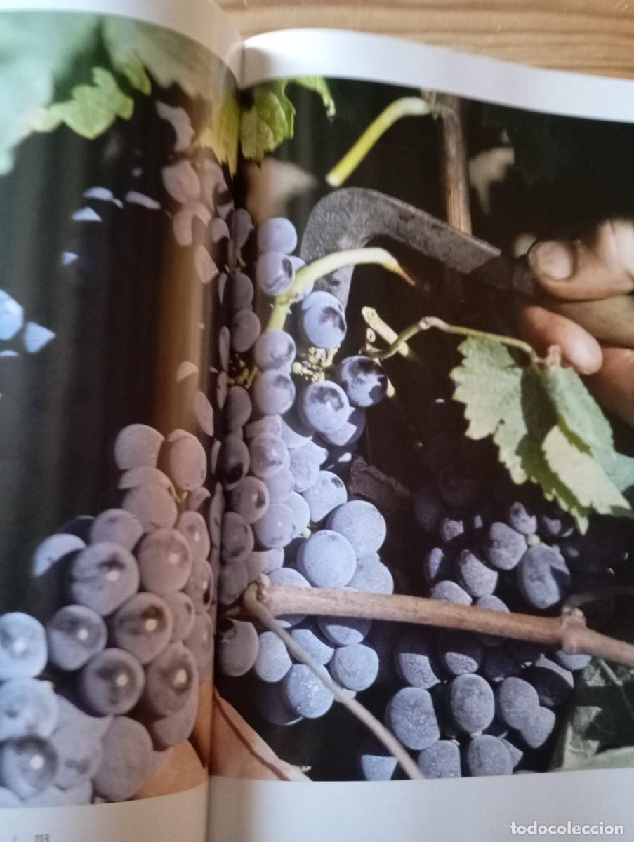 Libros de segunda mano: DENOMINACIONS D&rsquo;ORIGEN DE CATALUNYA - Foto 5