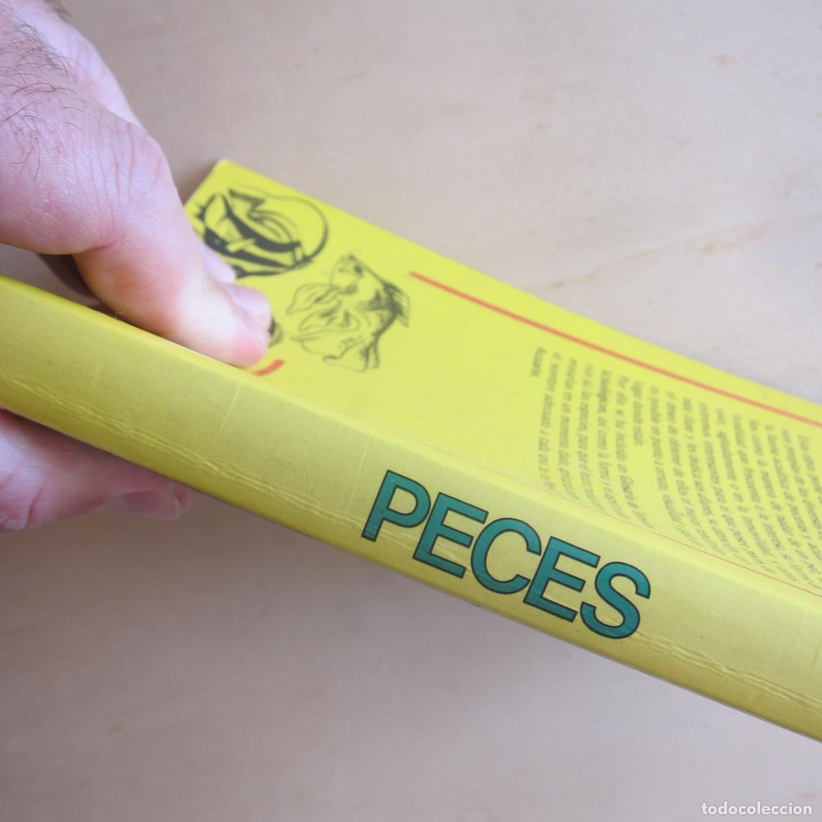 Libros de segunda mano: PECES - ALEX LEINHAS (DM) MANUAL - Foto 2
