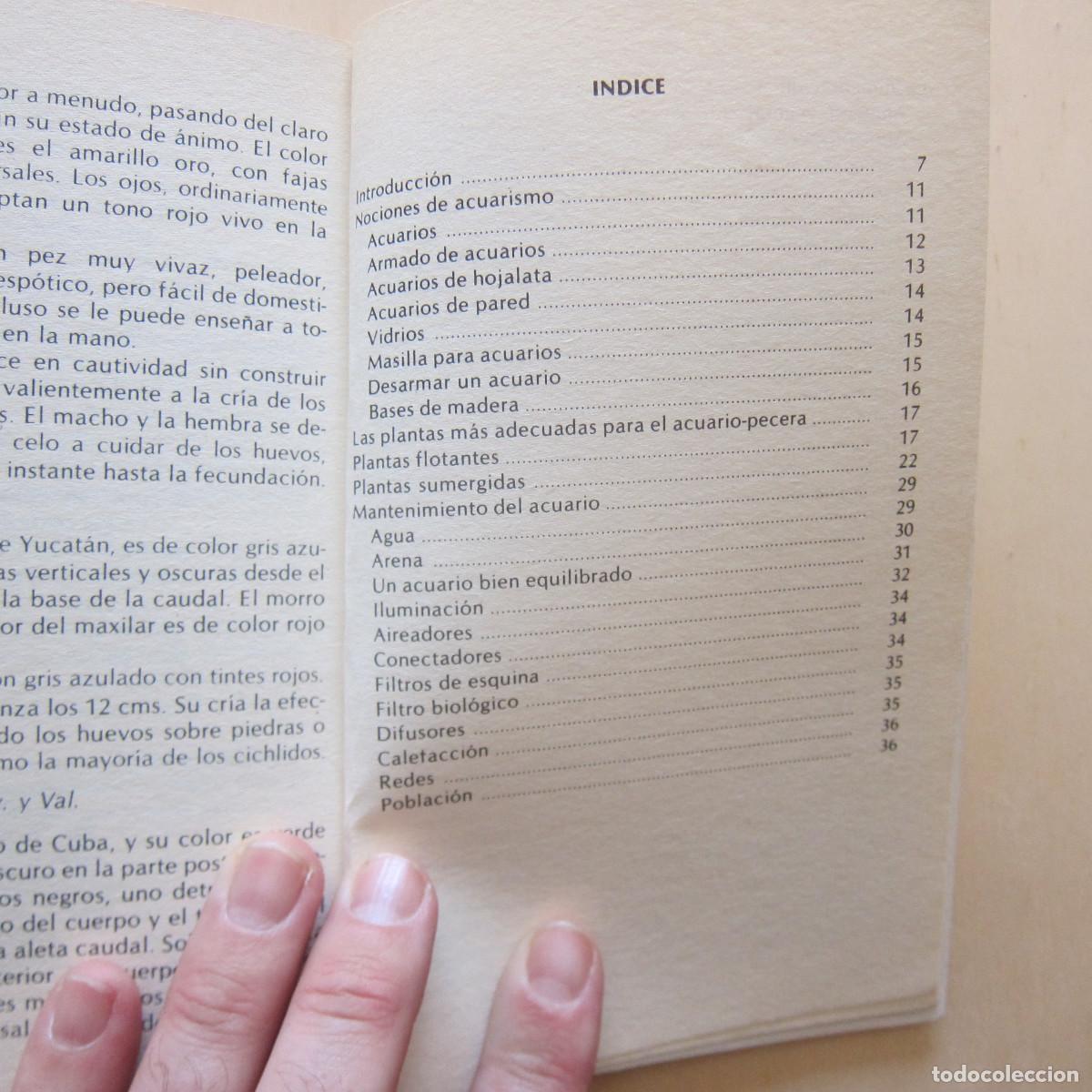 Libros de segunda mano: PECES - ALEX LEINHAS (DM) MANUAL - Foto 6