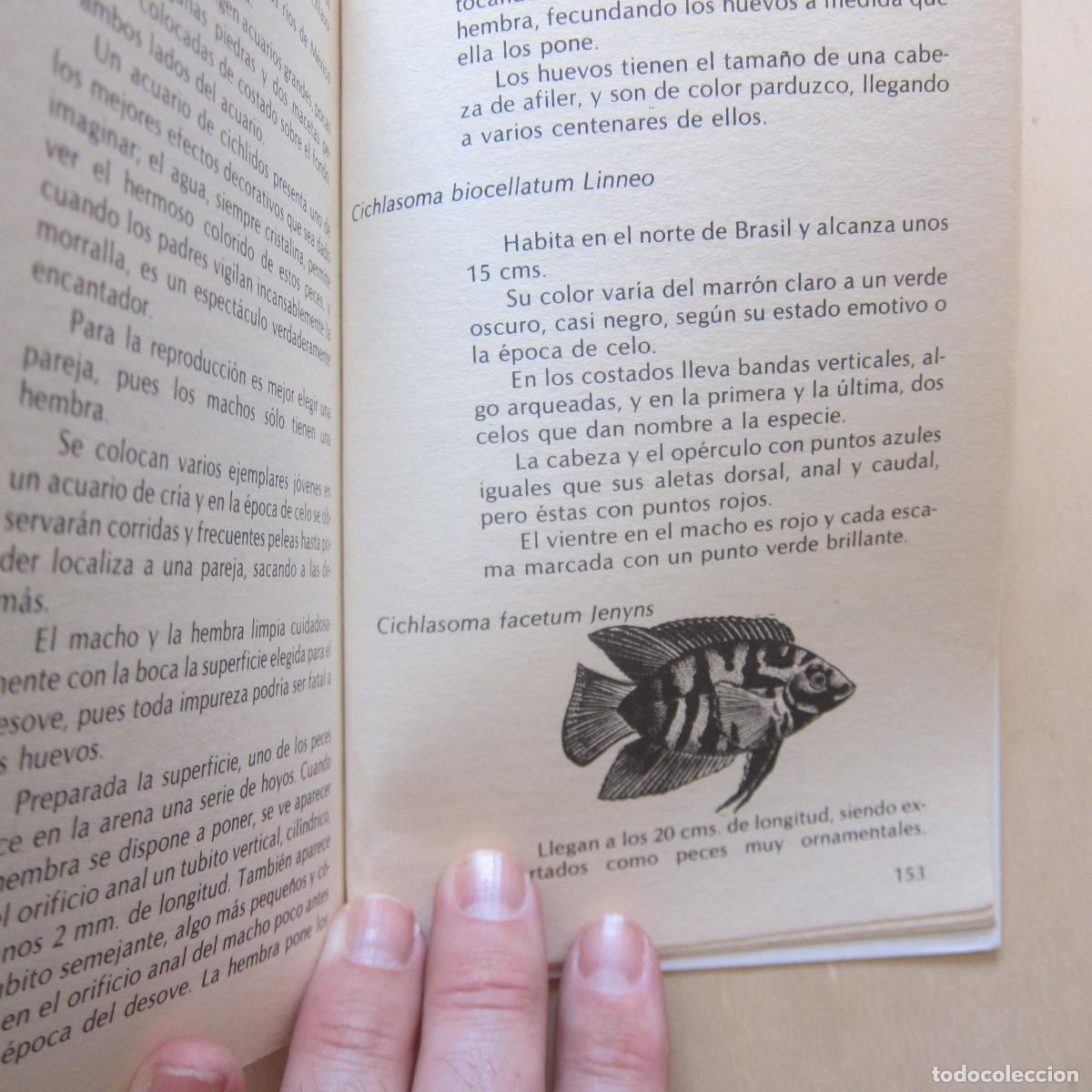 Libros de segunda mano: PECES - ALEX LEINHAS (DM) MANUAL - Foto 8