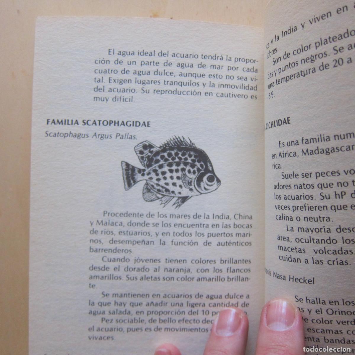Libros de segunda mano: PECES - ALEX LEINHAS (DM) MANUAL - Foto 9