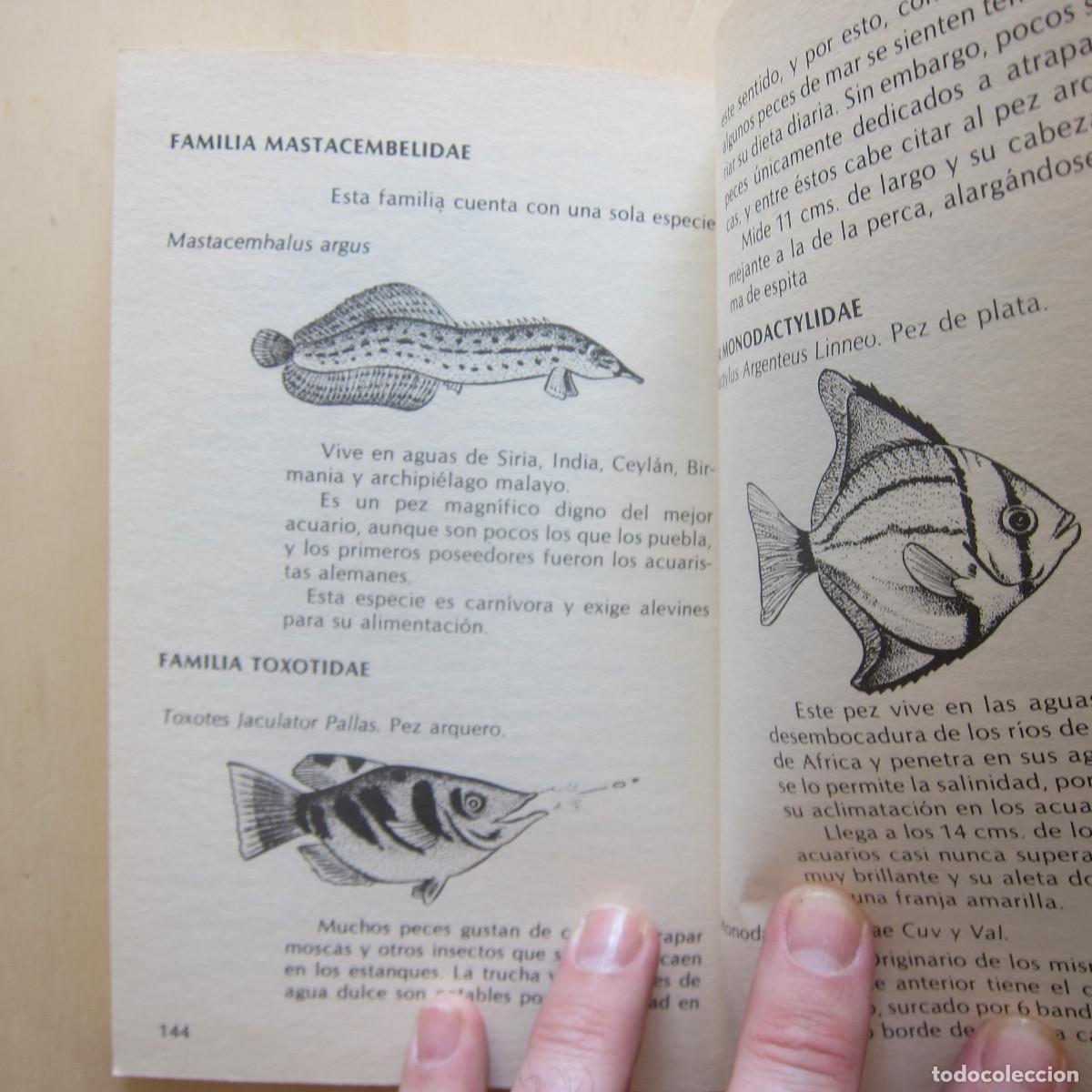 Libros de segunda mano: PECES - ALEX LEINHAS (DM) MANUAL - Foto 10