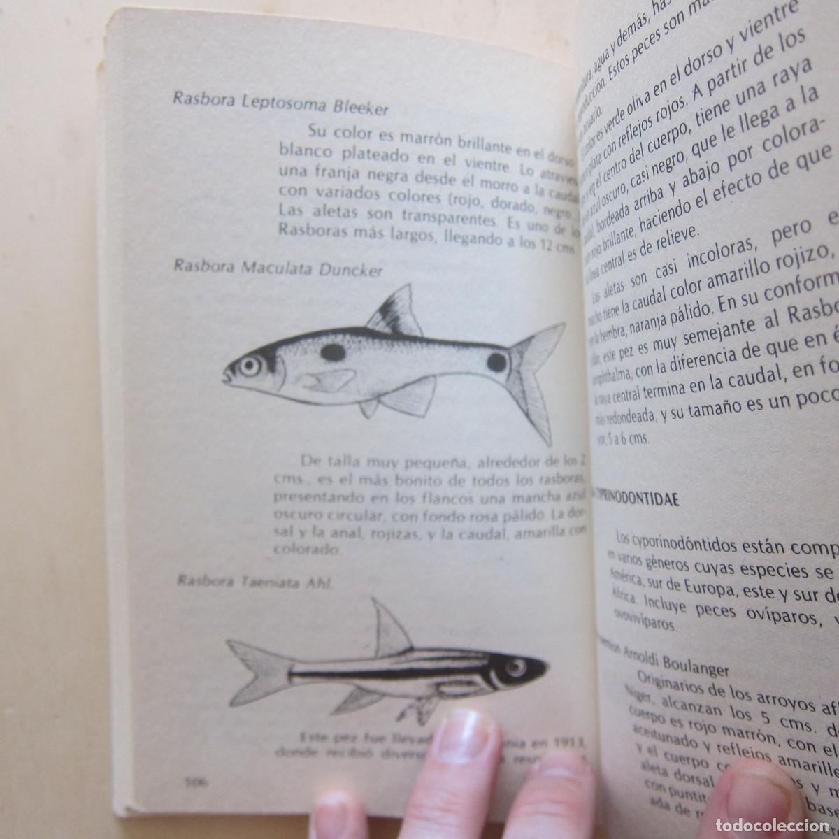 Libros de segunda mano: PECES - ALEX LEINHAS (DM) MANUAL - Foto 11