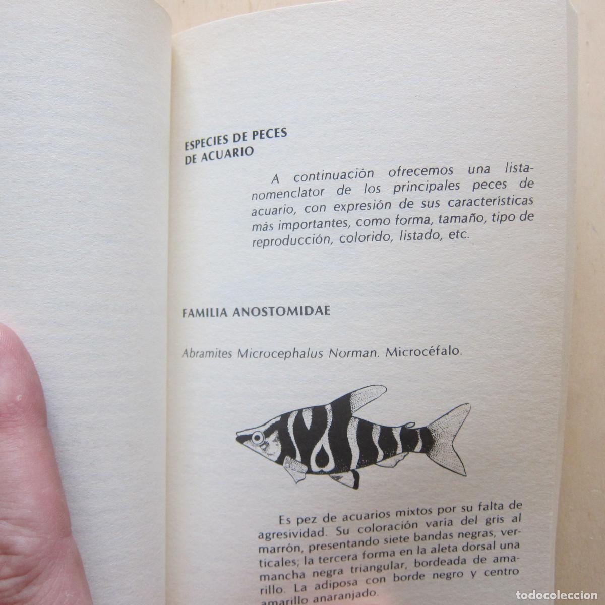 Libros de segunda mano: PECES - ALEX LEINHAS (DM) MANUAL - Foto 12