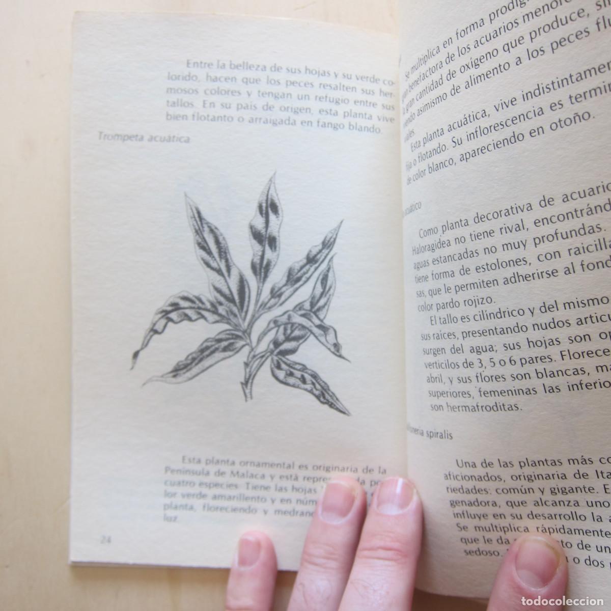 Libros de segunda mano: PECES - ALEX LEINHAS (DM) MANUAL - Foto 13