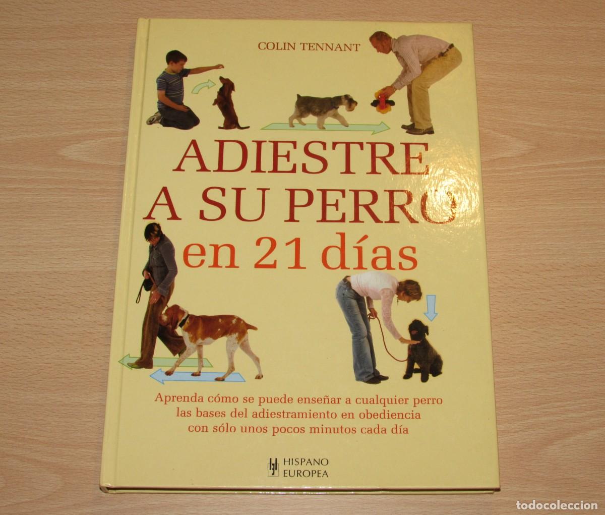 Libros de segunda mano: Adiestre a su perro en 21 d&iacute;as Hispano Europea 2007 - Foto 1