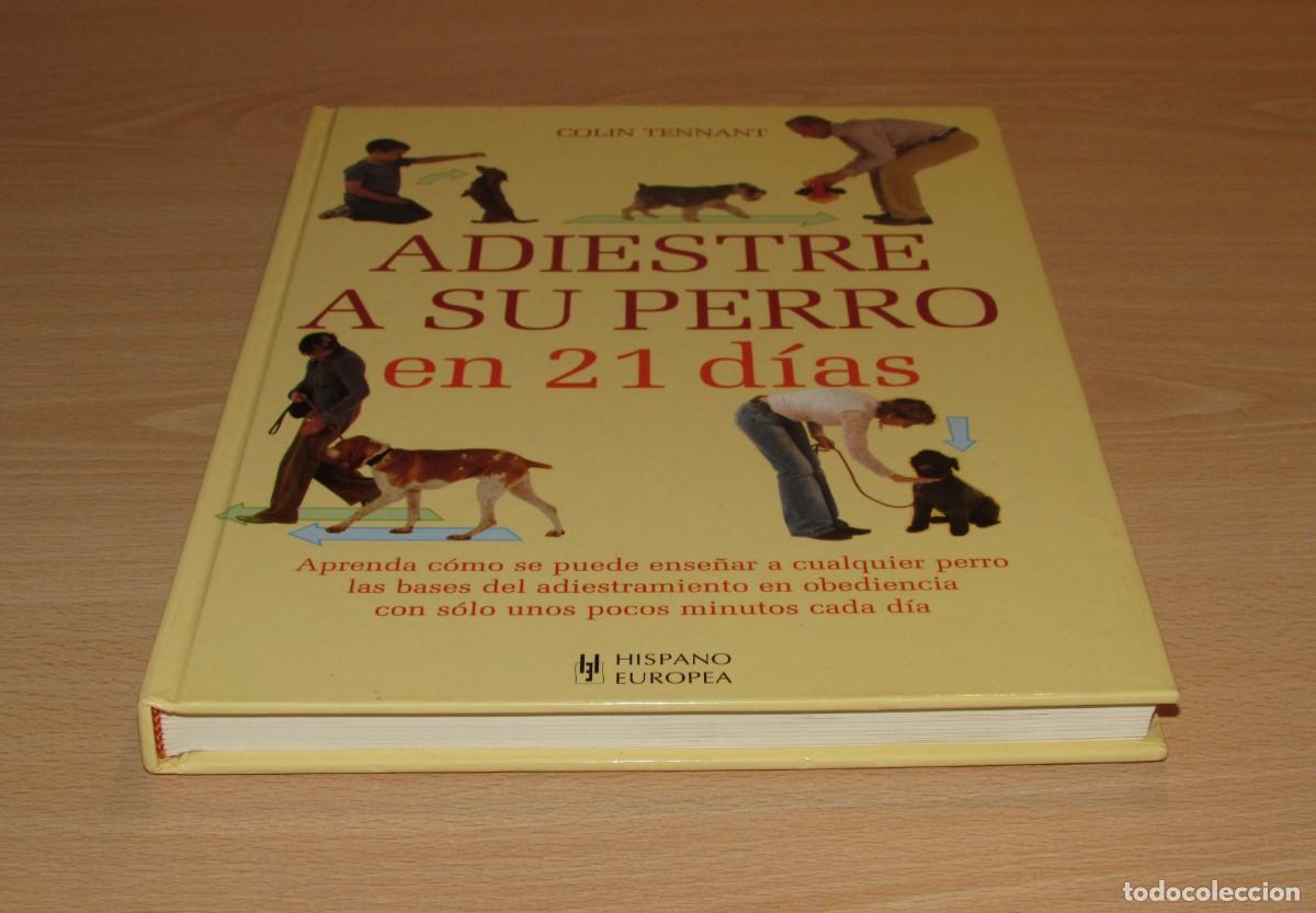 Libros de segunda mano: Adiestre a su perro en 21 d&iacute;as Hispano Europea 2007 - Foto 3