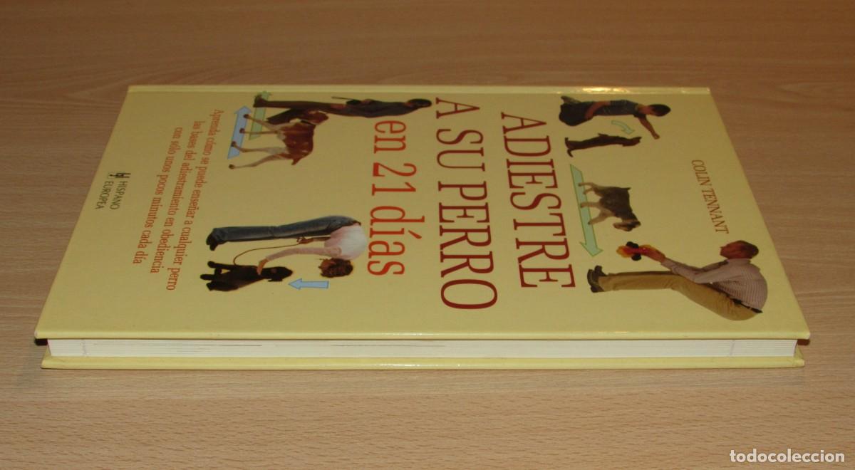 Libros de segunda mano: Adiestre a su perro en 21 d&iacute;as Hispano Europea 2007 - Foto 4