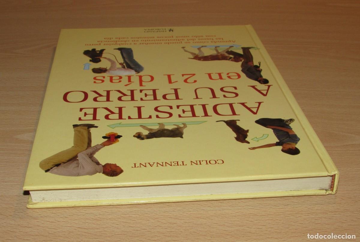 Libros de segunda mano: Adiestre a su perro en 21 d&iacute;as Hispano Europea 2007 - Foto 5