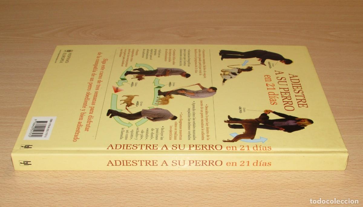 Libros de segunda mano: Adiestre a su perro en 21 d&iacute;as Hispano Europea 2007 - Foto 6