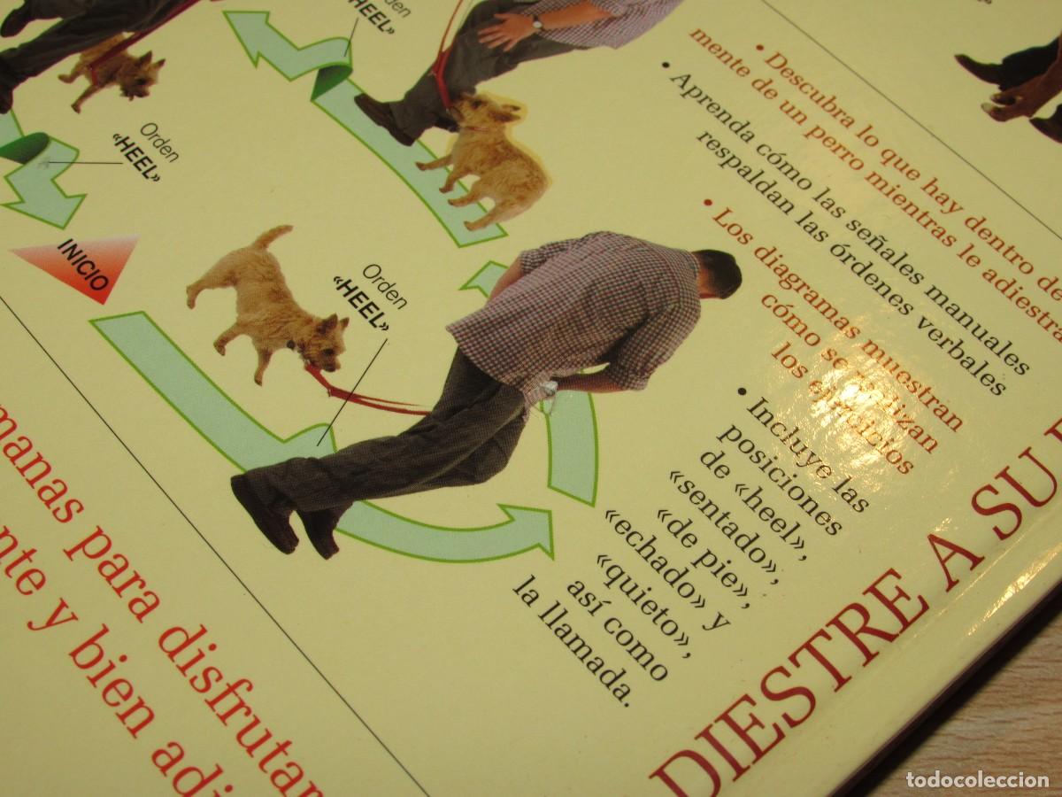 Libros de segunda mano: Adiestre a su perro en 21 d&iacute;as Hispano Europea 2007 - Foto 7