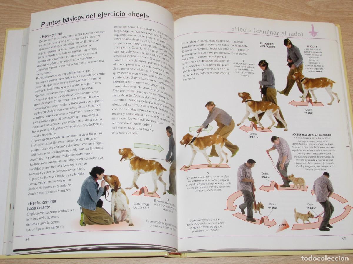 Libros de segunda mano: Adiestre a su perro en 21 d&iacute;as Hispano Europea 2007 - Foto 9