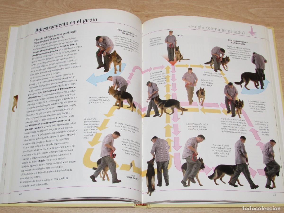 Libros de segunda mano: Adiestre a su perro en 21 d&iacute;as Hispano Europea 2007 - Foto 10