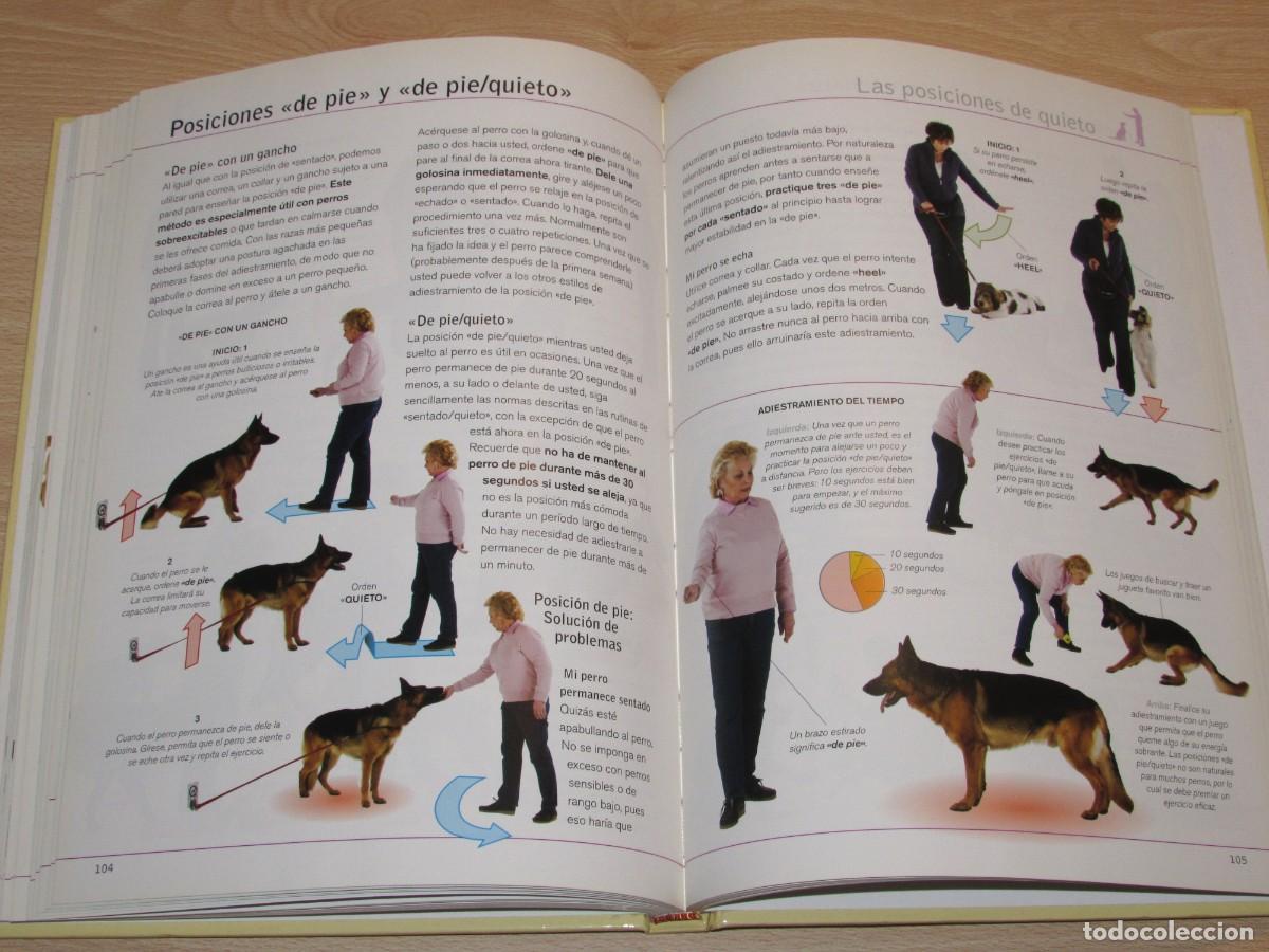 Libros de segunda mano: Adiestre a su perro en 21 d&iacute;as Hispano Europea 2007 - Foto 11