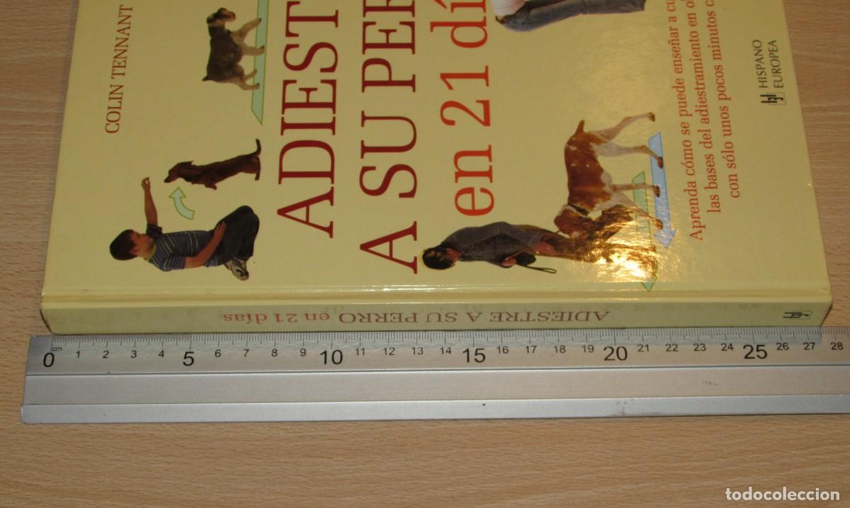 Libros de segunda mano: Adiestre a su perro en 21 d&iacute;as Hispano Europea 2007 - Foto 12