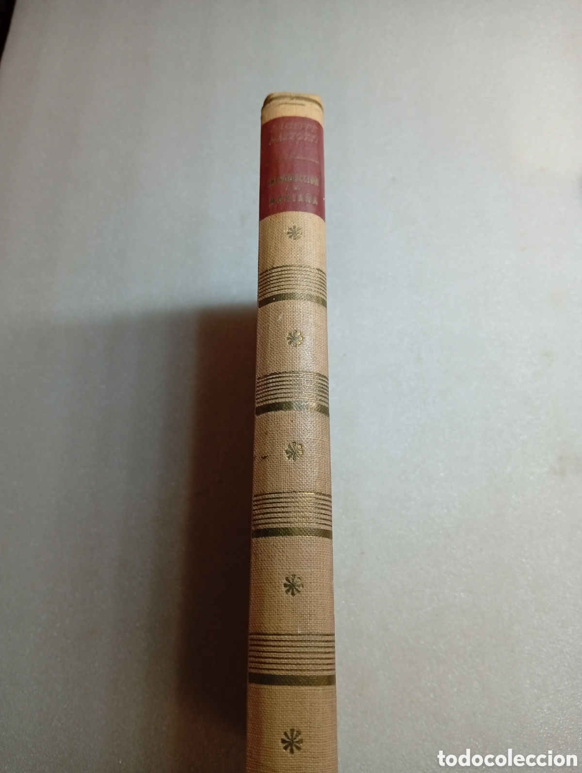 Libros de segunda mano: INTRODUCCI&Oacute;N A LA MONTA&Ntilde;A - Giuseppe Mazzotti - Foto 3