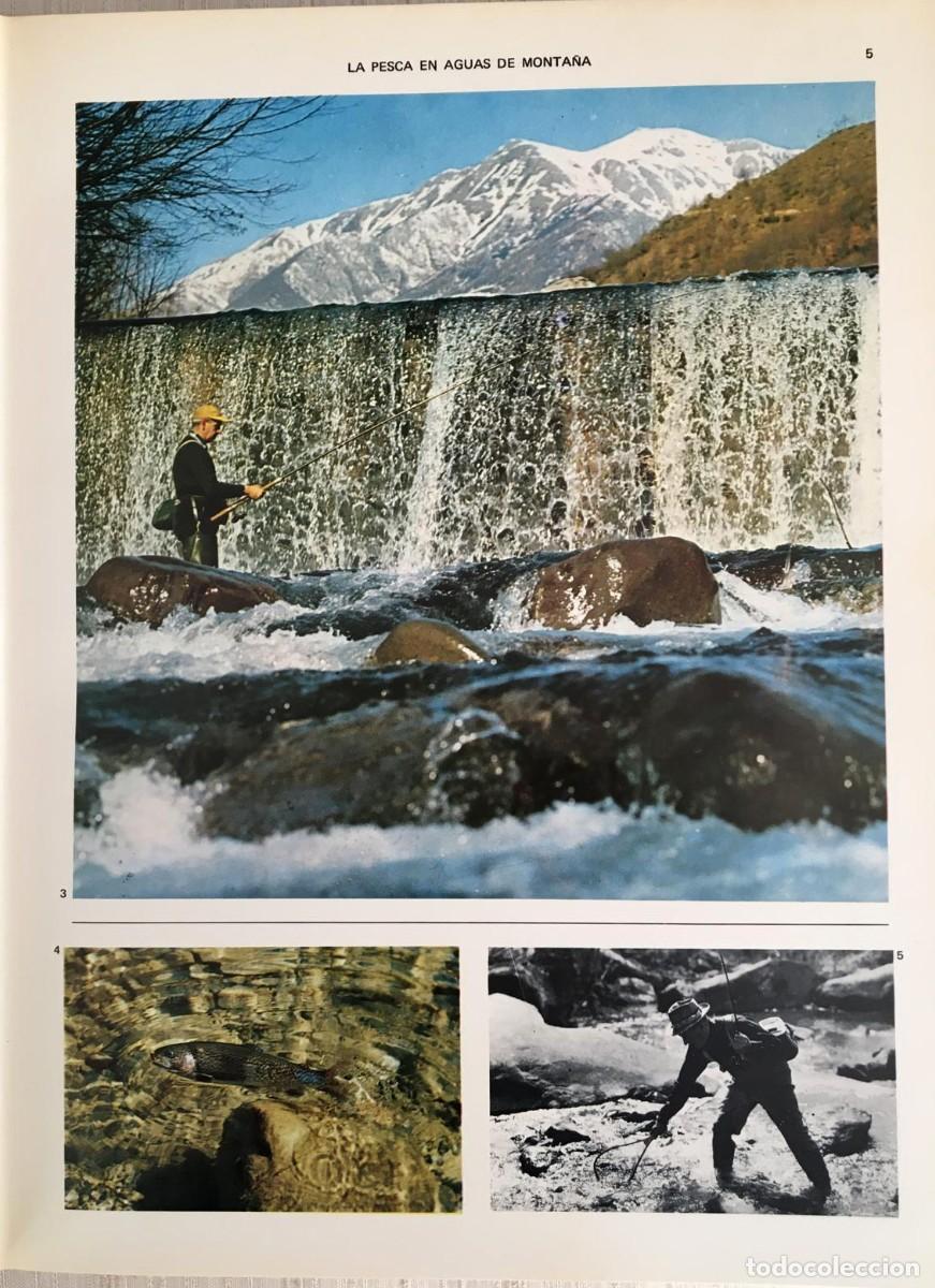 Libros de segunda mano: Enciclopedia de la pesca 2 tomos ( de rio y de mar) - Foto 4