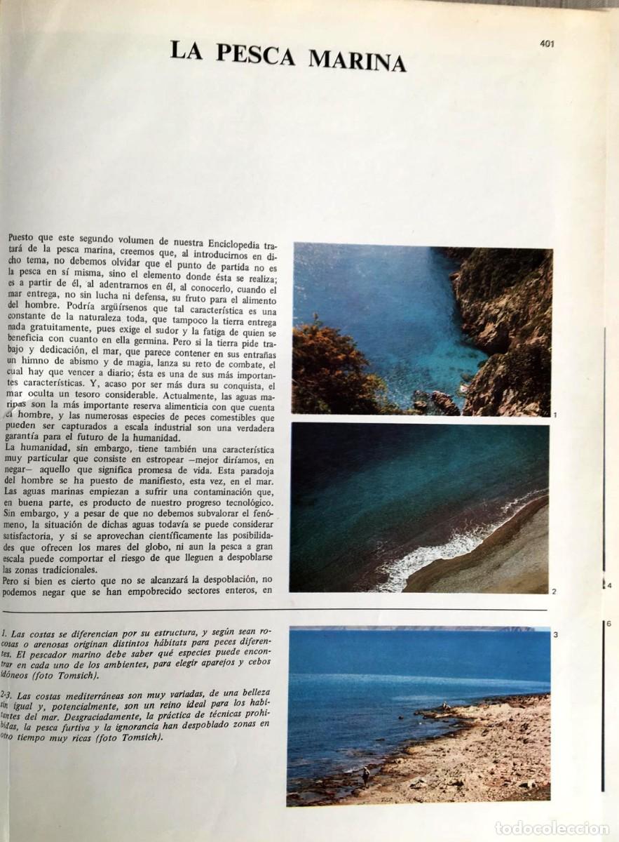 Libros de segunda mano: Enciclopedia de la pesca 2 tomos ( de rio y de mar) - Foto 6