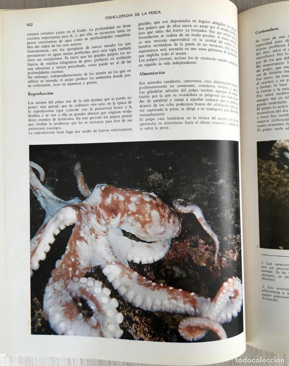 Libros de segunda mano: Enciclopedia de la pesca 2 tomos ( de rio y de mar) - Foto 7