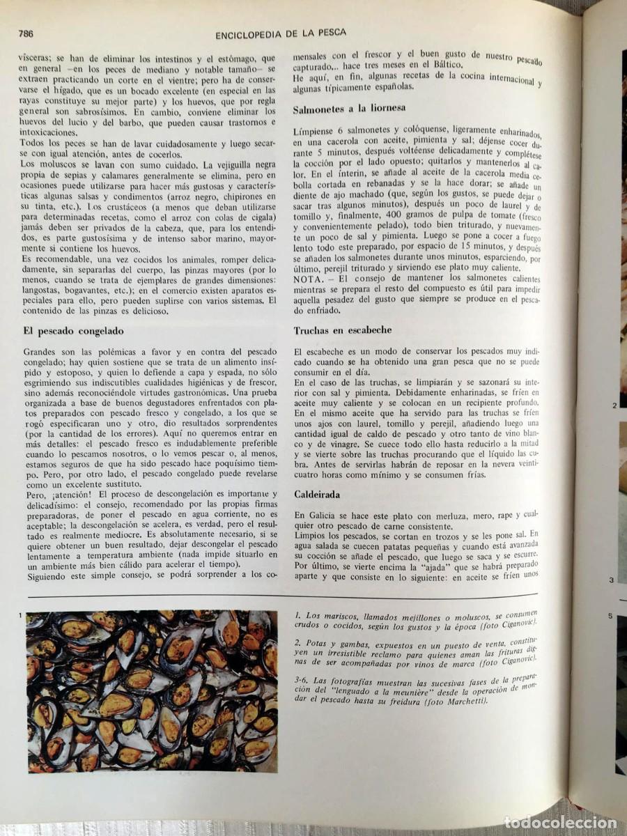 Libros de segunda mano: Enciclopedia de la pesca 2 tomos ( de rio y de mar) - Foto 8