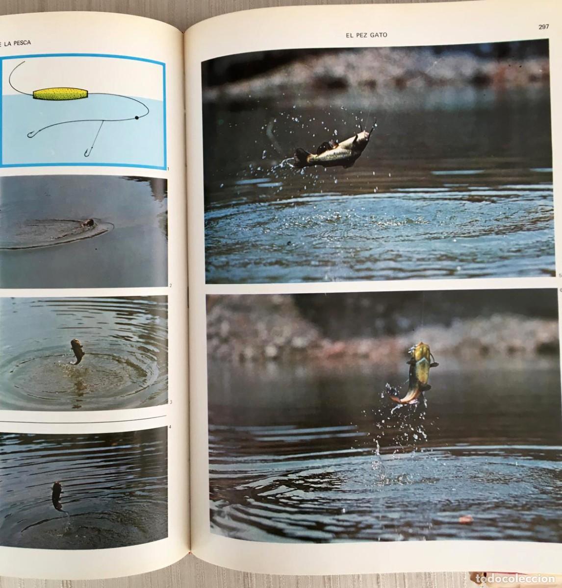 Libros de segunda mano: Enciclopedia de la pesca 2 tomos ( de rio y de mar) - Foto 9