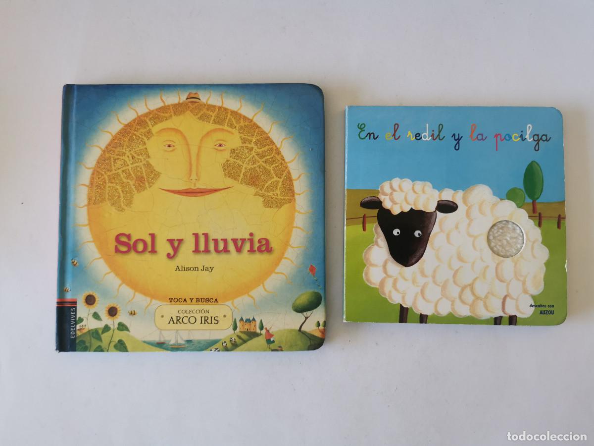 Libros de segunda mano: Sol y lluvia. Alison Jay + En el redil y la pocilga - Foto 1