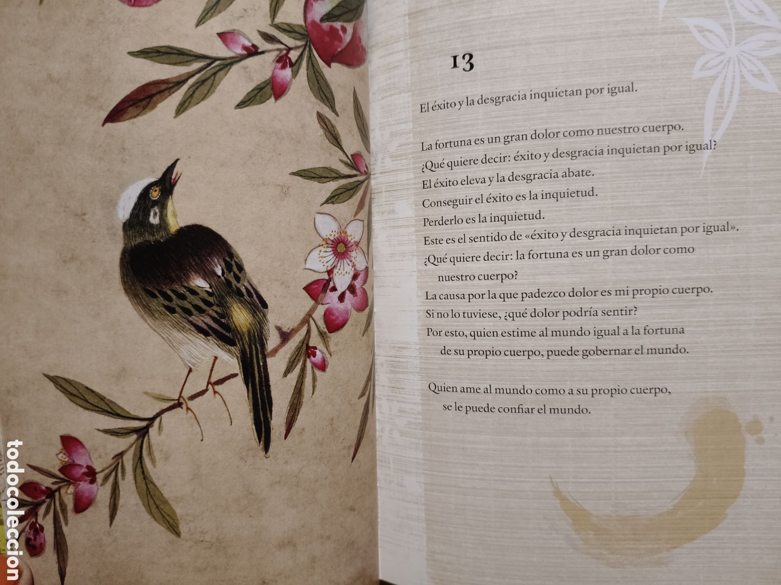 Libros de segunda mano: Tao Te ching- Lao tse (introducci&oacute;n de John baldock) - Foto 6