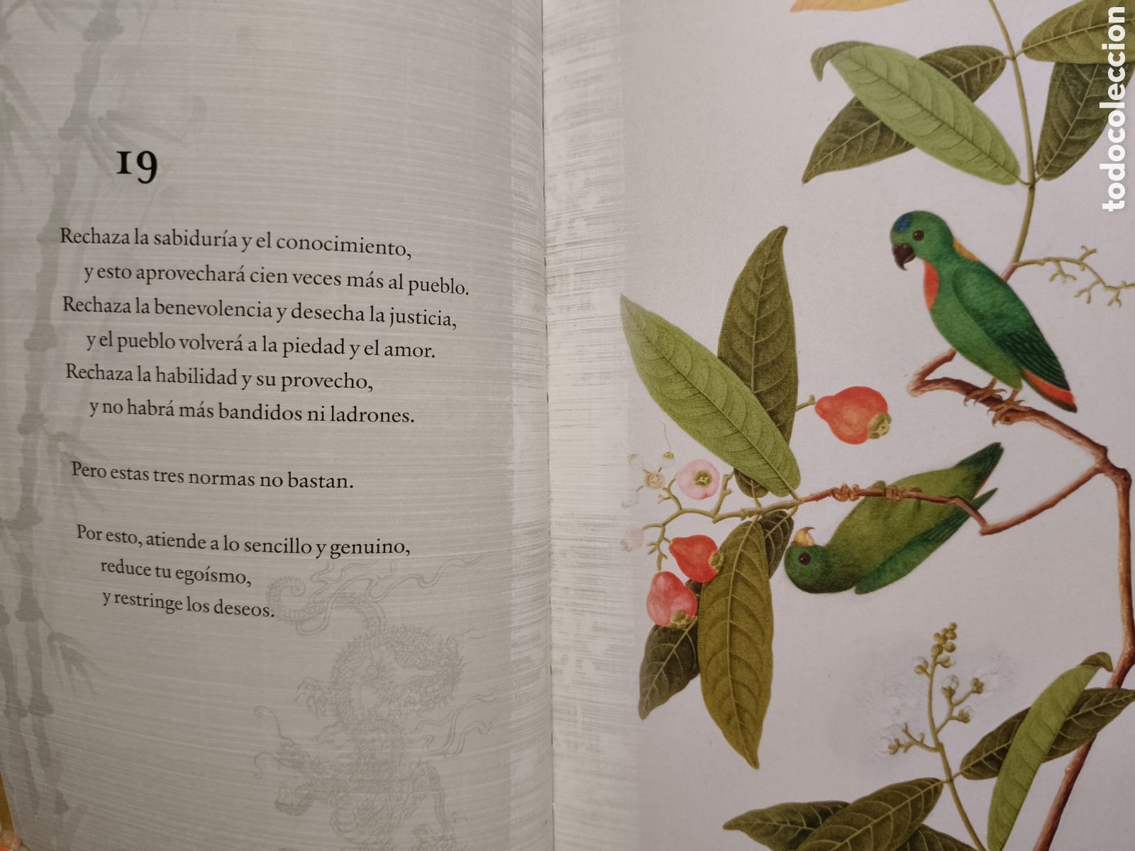 Libros de segunda mano: Tao Te ching- Lao tse (introducci&oacute;n de John baldock) - Foto 8