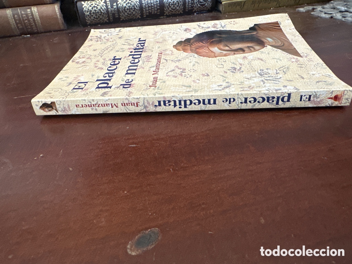 Libros de segunda mano: EL PLACER DE MEDITAR / JUAN MANZANERA - Foto 7