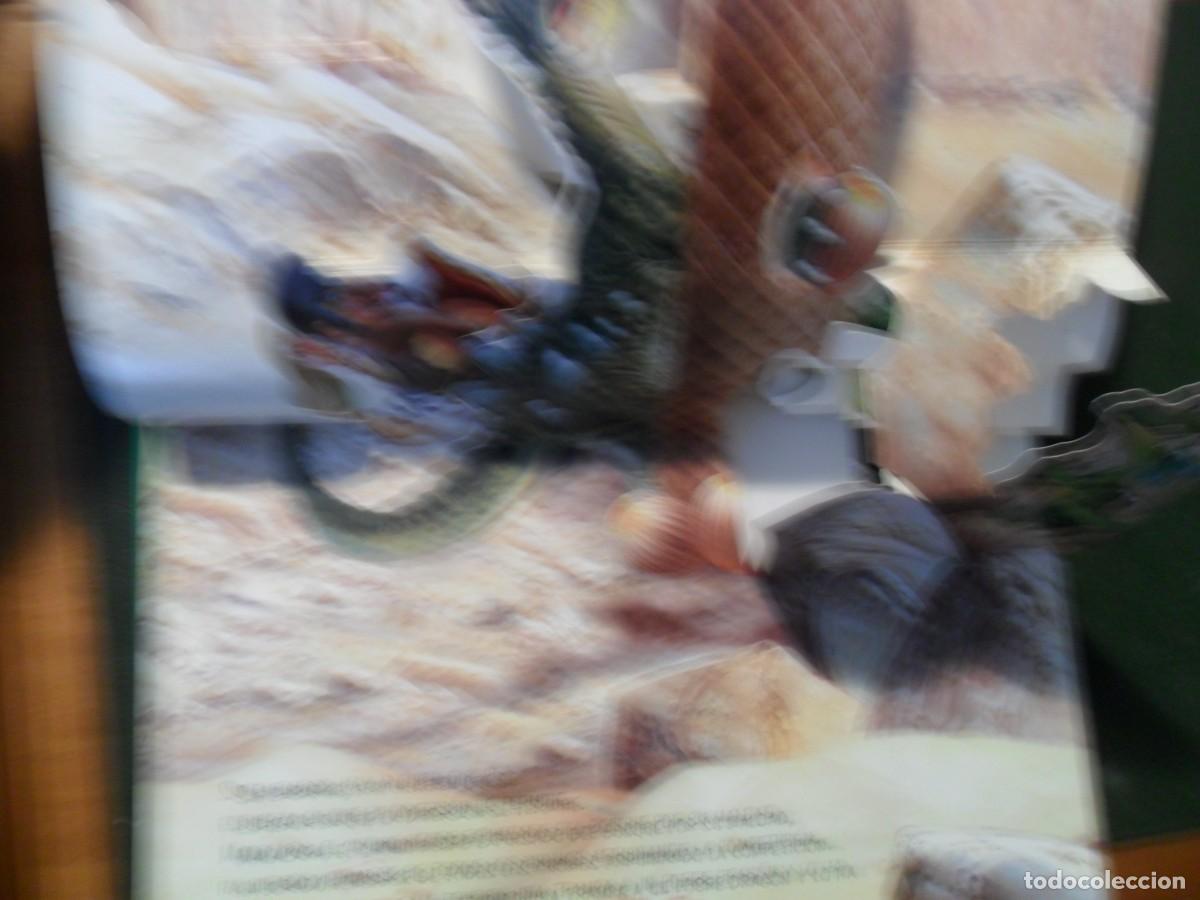 Libros de segunda mano: EL BOSQUE ENCANTADO LIBRO DE DIORAMAS - Foto 6
