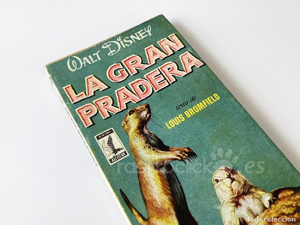 Libros de segunda mano: Libro La gran pradera &ndash; Walt Disney &ndash; Alcotan - Ediciones G.P - Mistol - Foto 2