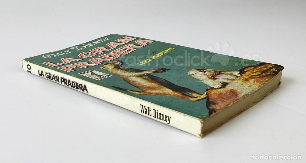 Libros de segunda mano: Libro La gran pradera &ndash; Walt Disney &ndash; Alcotan - Ediciones G.P - Mistol - Foto 3