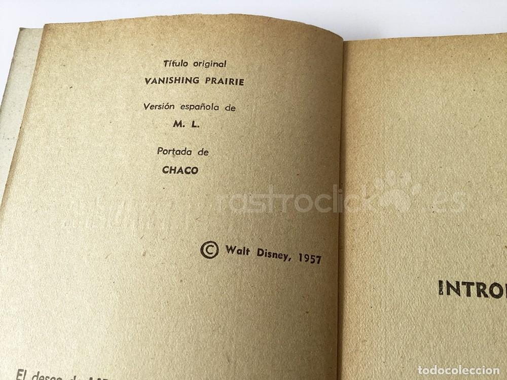 Libros de segunda mano: Libro La gran pradera &ndash; Walt Disney &ndash; Alcotan - Ediciones G.P - Mistol - Foto 7