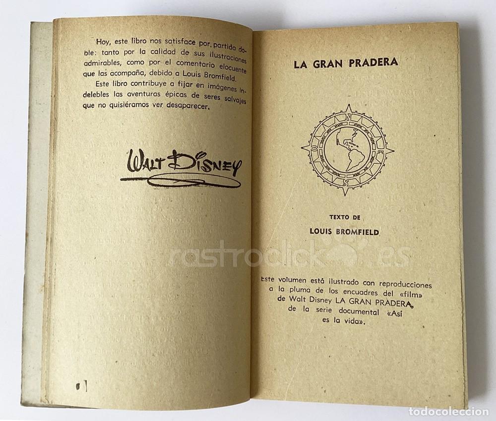 Libros de segunda mano: Libro La gran pradera &ndash; Walt Disney &ndash; Alcotan - Ediciones G.P - Mistol - Foto 9