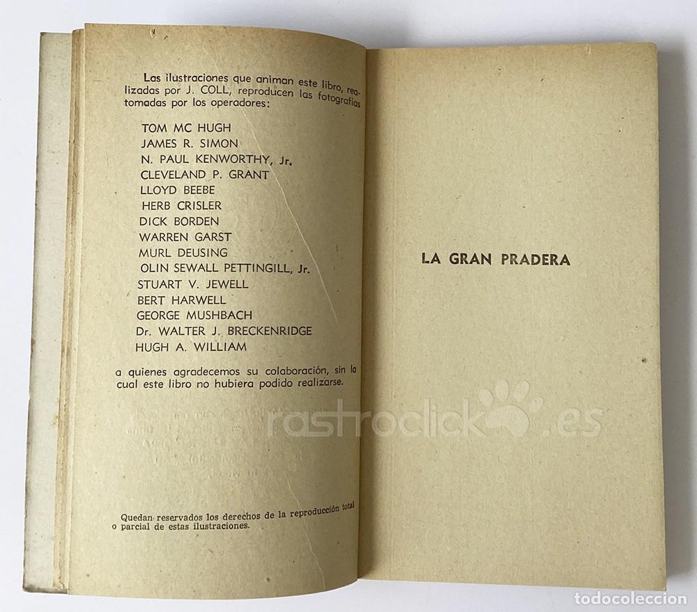 Libros de segunda mano: Libro La gran pradera &ndash; Walt Disney &ndash; Alcotan - Ediciones G.P - Mistol - Foto 10